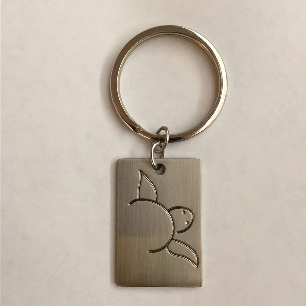 Keychain TURTLE Brush Nickel longevity delta zeta New